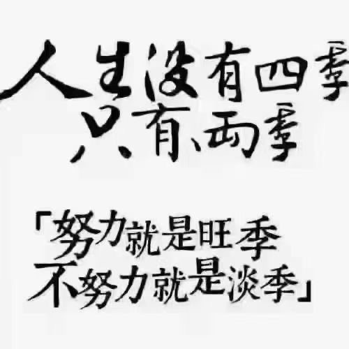 美嬰優(yōu)品的圖標(biāo)