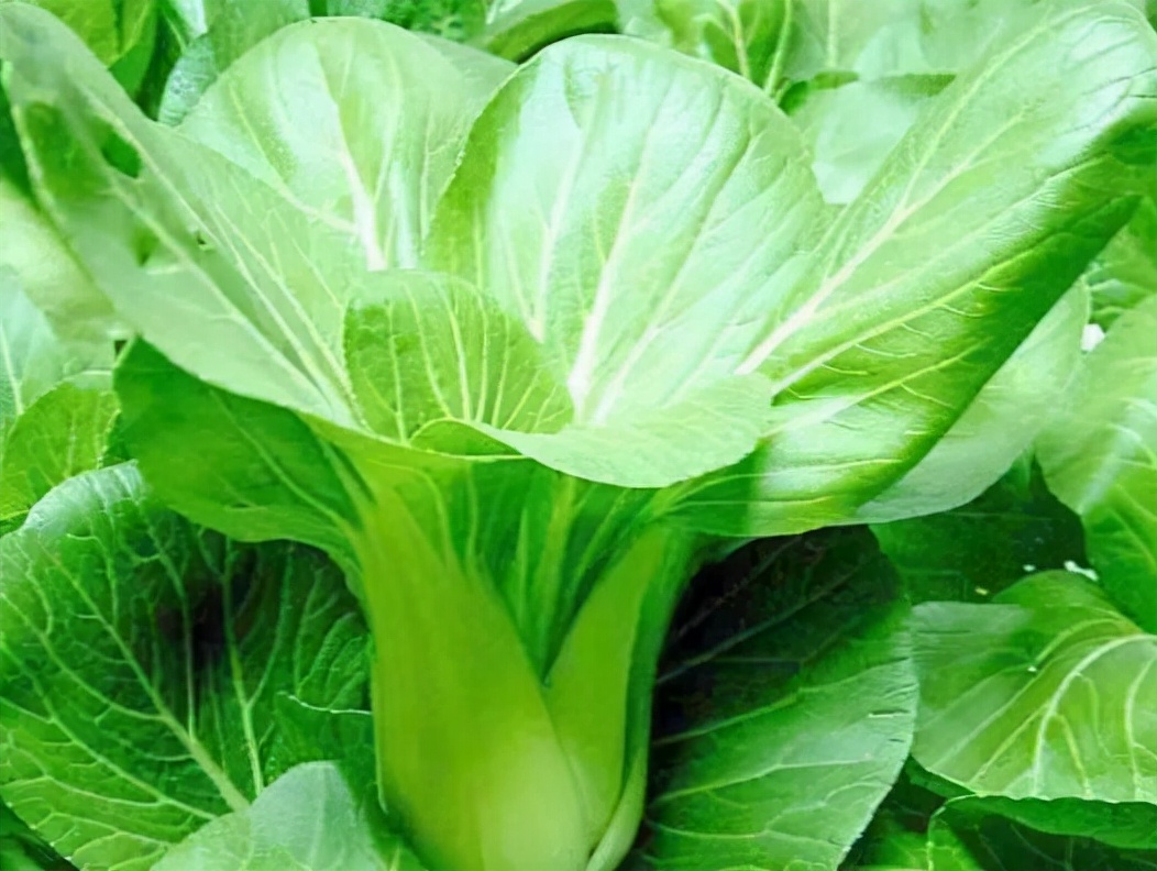 吃蝦皮并不能補鈣？醫(yī)生：真正補鈣的4種食物，多數(shù)人卻不愛吃