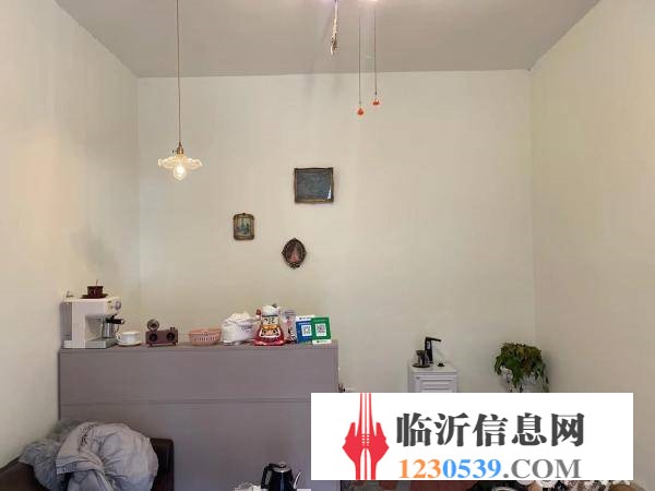 農(nóng)家小院 適合做直播 游戲室 工作室 甜品店等