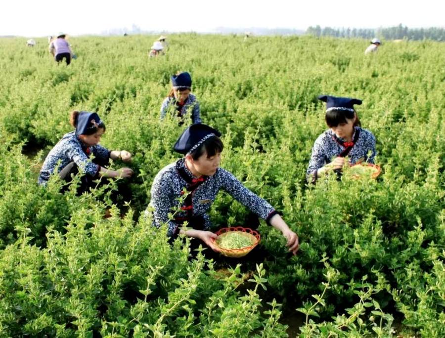 “5·19”中國(guó)旅游日｜臨沂人游臨沂，一大波福利來(lái)啦