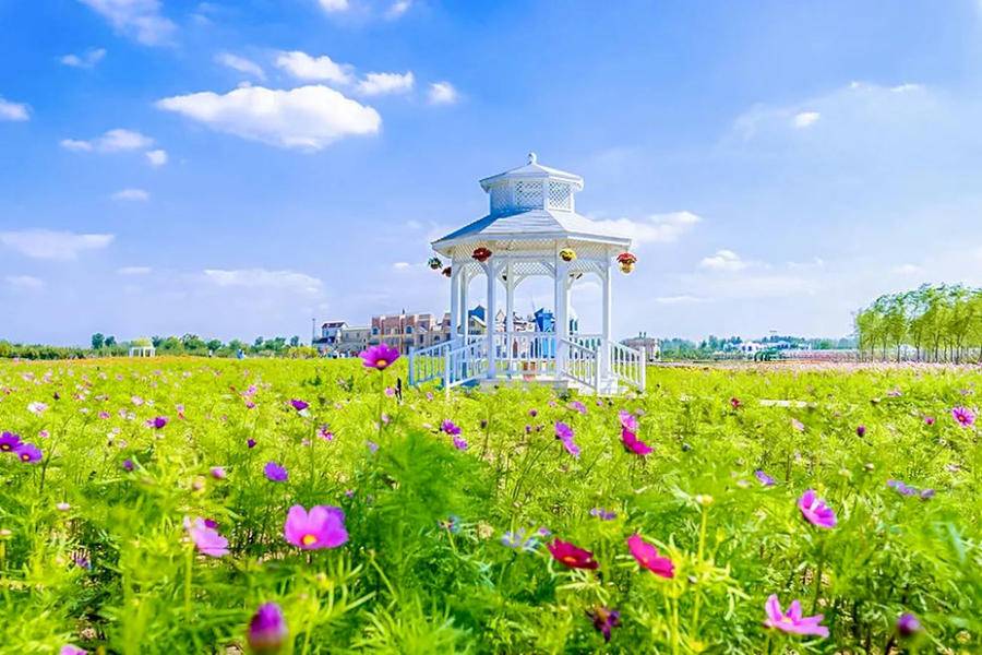 “5·19”中國(guó)旅游日｜臨沂人游臨沂，一大波福利來(lái)啦