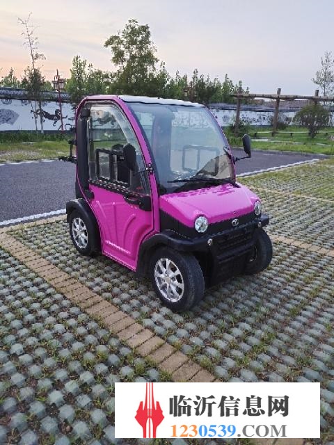 大陽電動車，全新電瓶