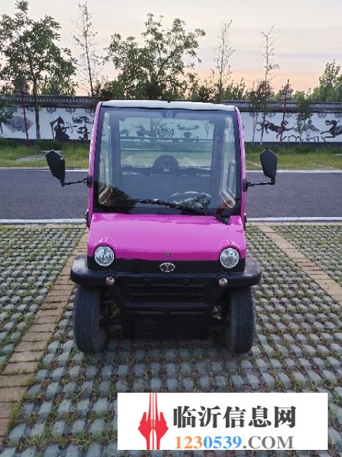 大陽電動車，全新電瓶