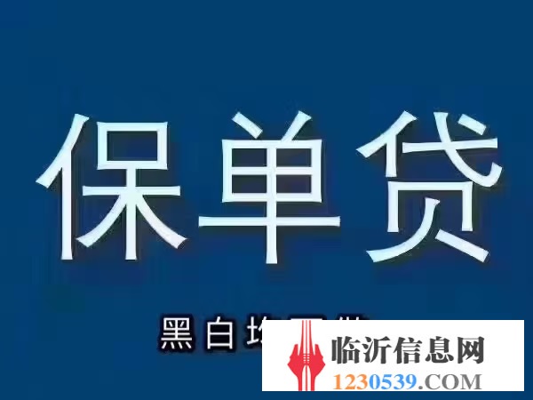 保單貸款，黑戶訴訟可做，全國(guó)接單！